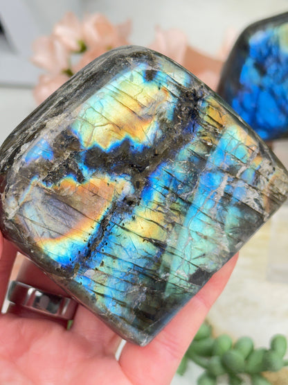 Standing Labradorite Freeforms