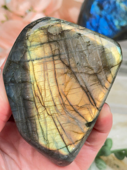 Standing Labradorite Freeforms