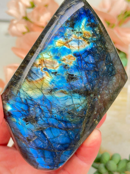 Standing Labradorite Freeforms