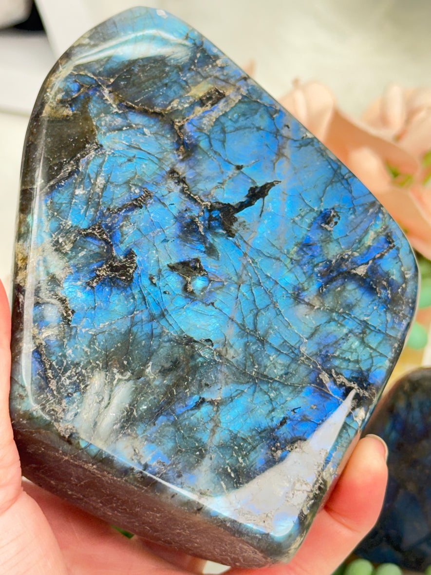Standing Labradorite Freeforms