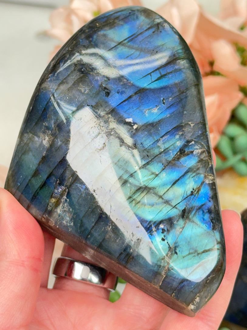 Standing Labradorite Freeforms
