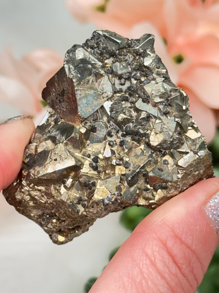 Small Pyrite Clusters