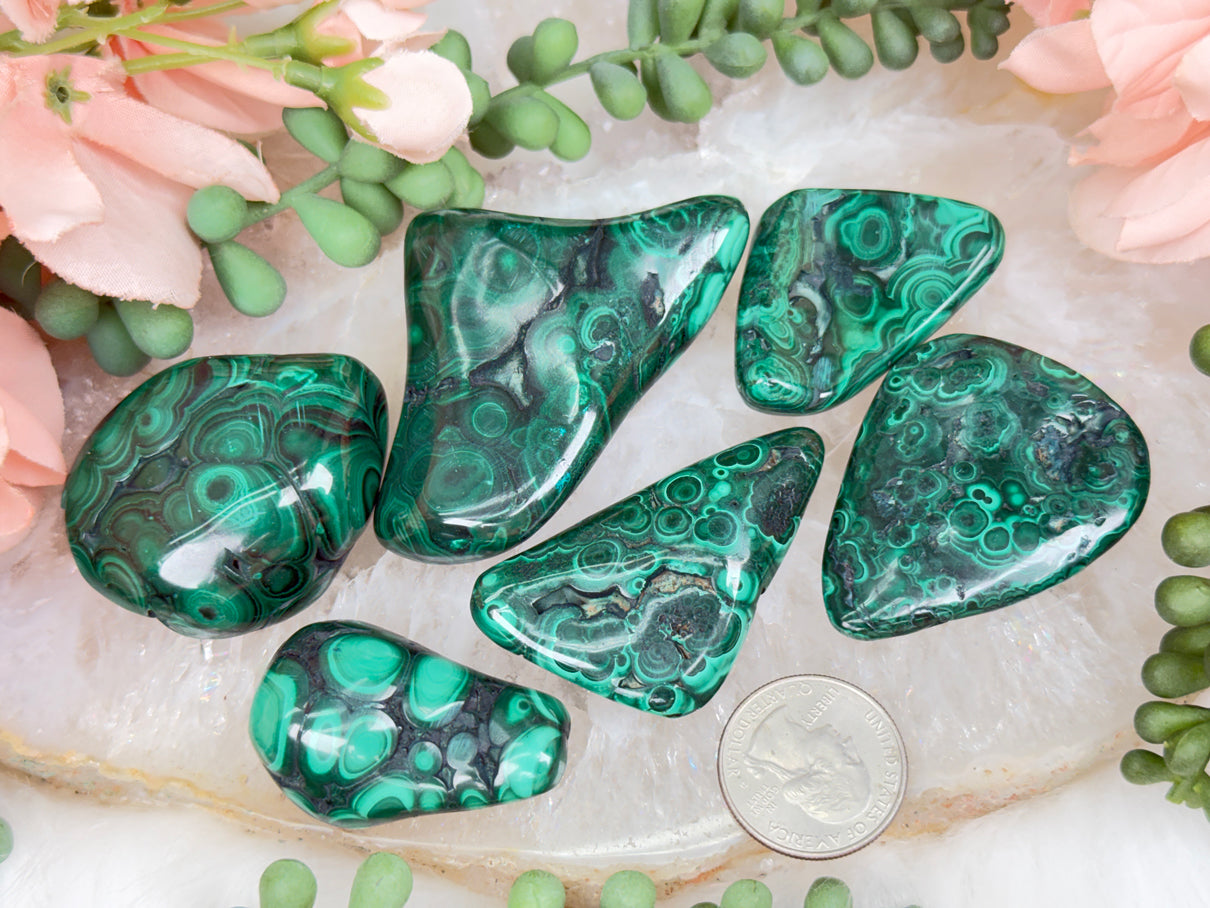 Polished Green Malachite
