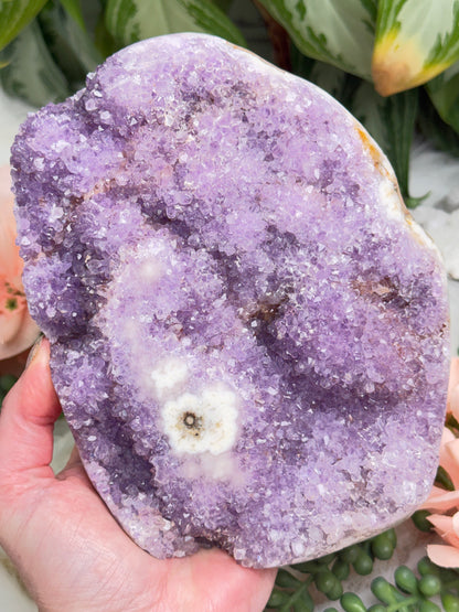Pink Purple Amethyst Clusters