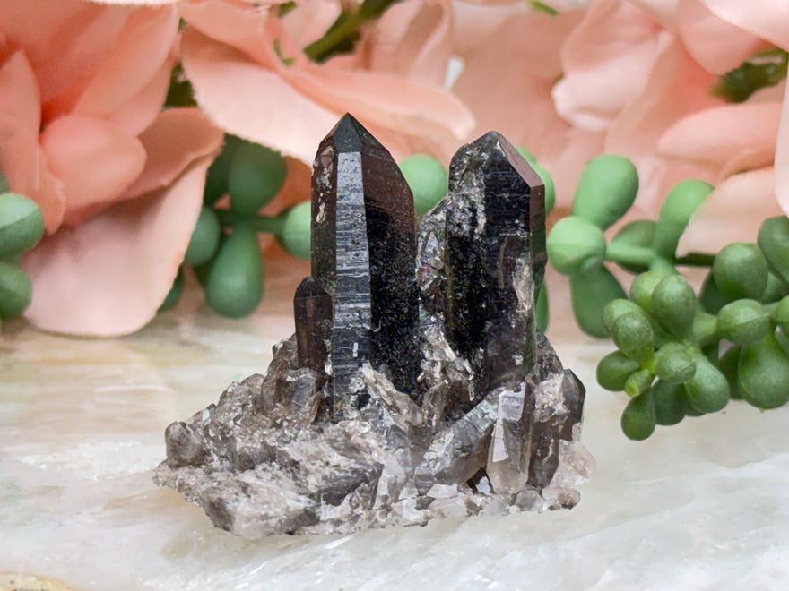 Small Smoky Quartz Cluster