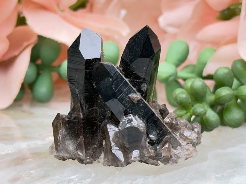 Small Smoky Quartz Cluster
