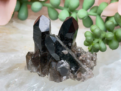 Small Smoky Quartz Cluster