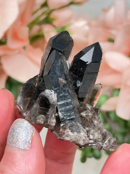 Small Smoky Quartz Cluster