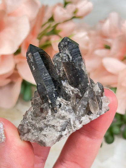 Small Smoky Quartz Cluster
