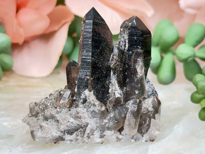 Small Smoky Quartz Cluster