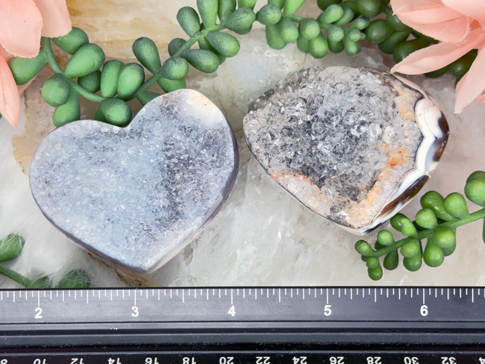 Orca Agate Hearts