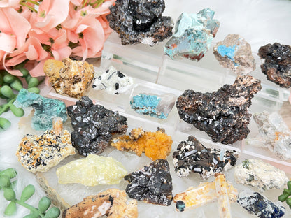 Mixed Small Namibia Specimens