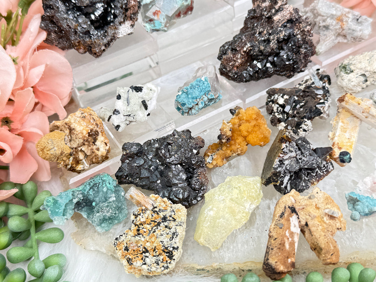 Mixed Small Namibia Specimens