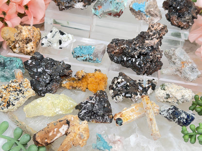Mixed Small Namibia Specimens