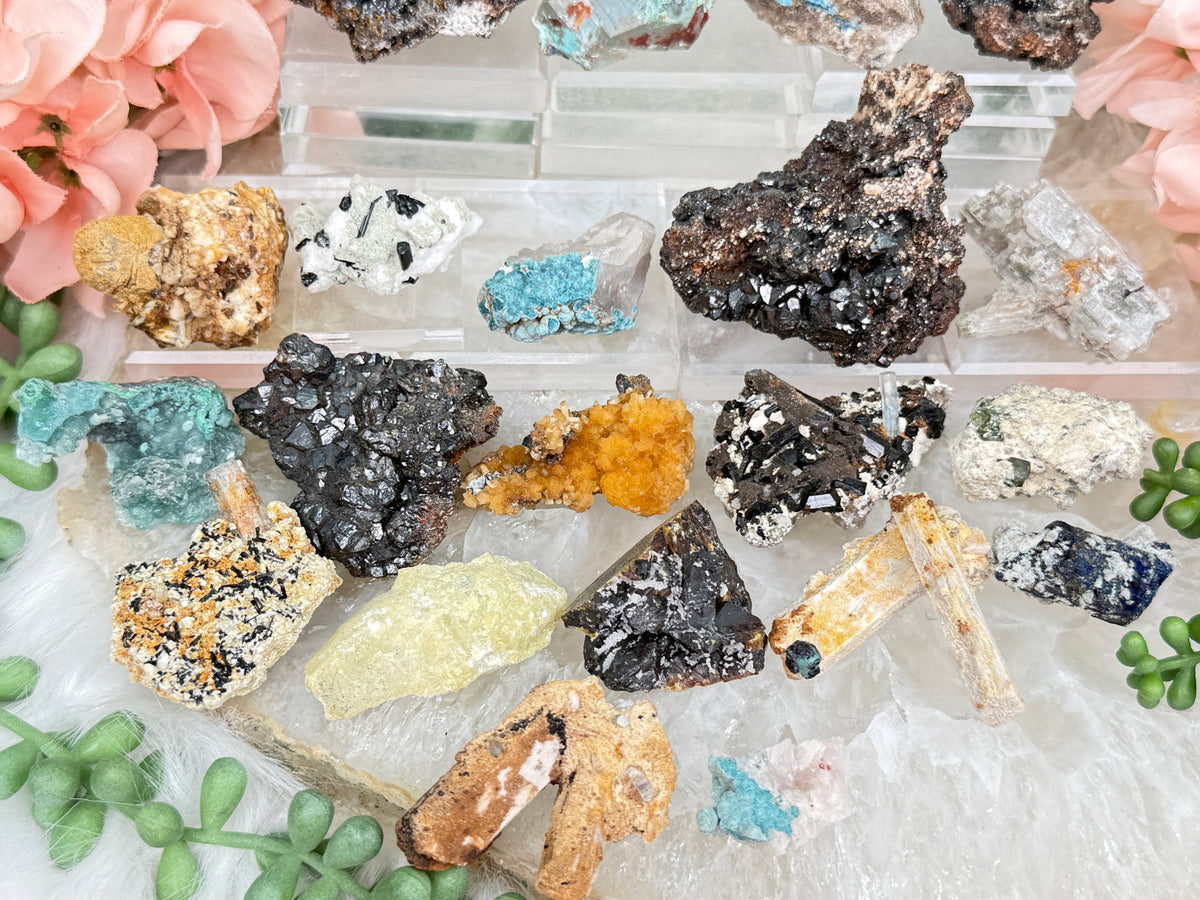 Mixed Small Namibia Specimens
