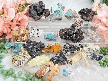 Mixed Small Namibia Specimens