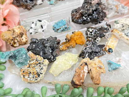 Mixed Small Namibia Specimens