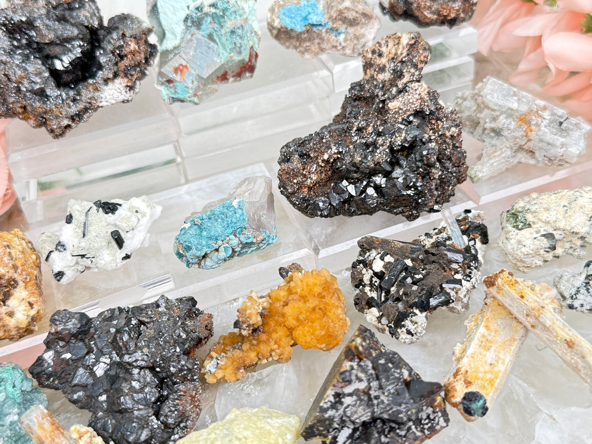 Mixed Small Namibia Specimens