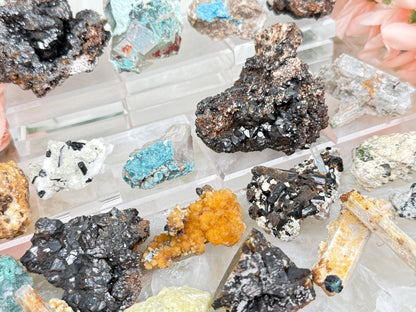 Mixed Small Namibia Specimens