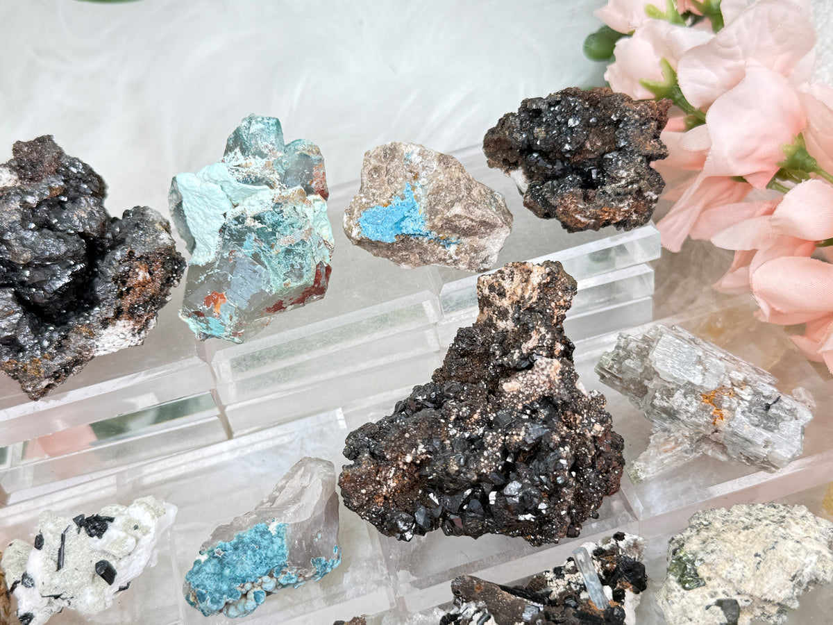 Mixed Small Namibia Specimens