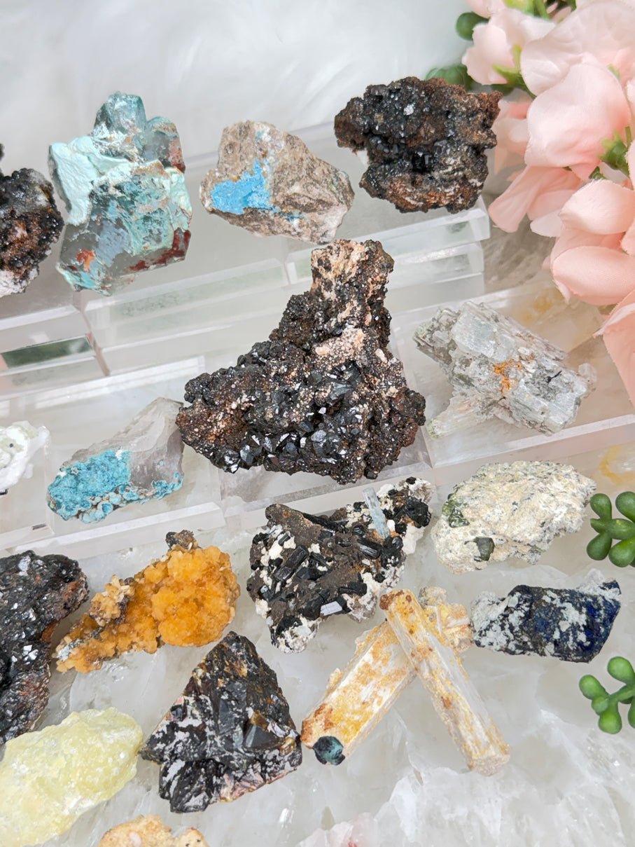 Mixed Small Namibia Specimens