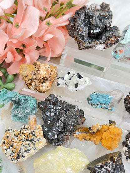 Mixed Small Namibia Specimens