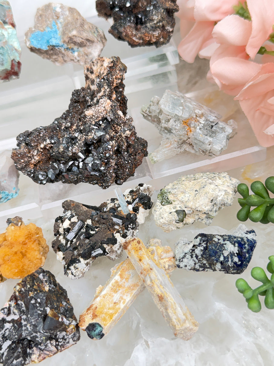 Mixed Small Namibia Specimens