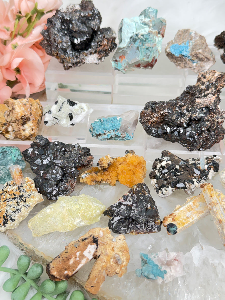 Mixed Small Namibia Specimens