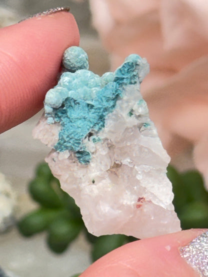 Mixed Small Namibia Specimens