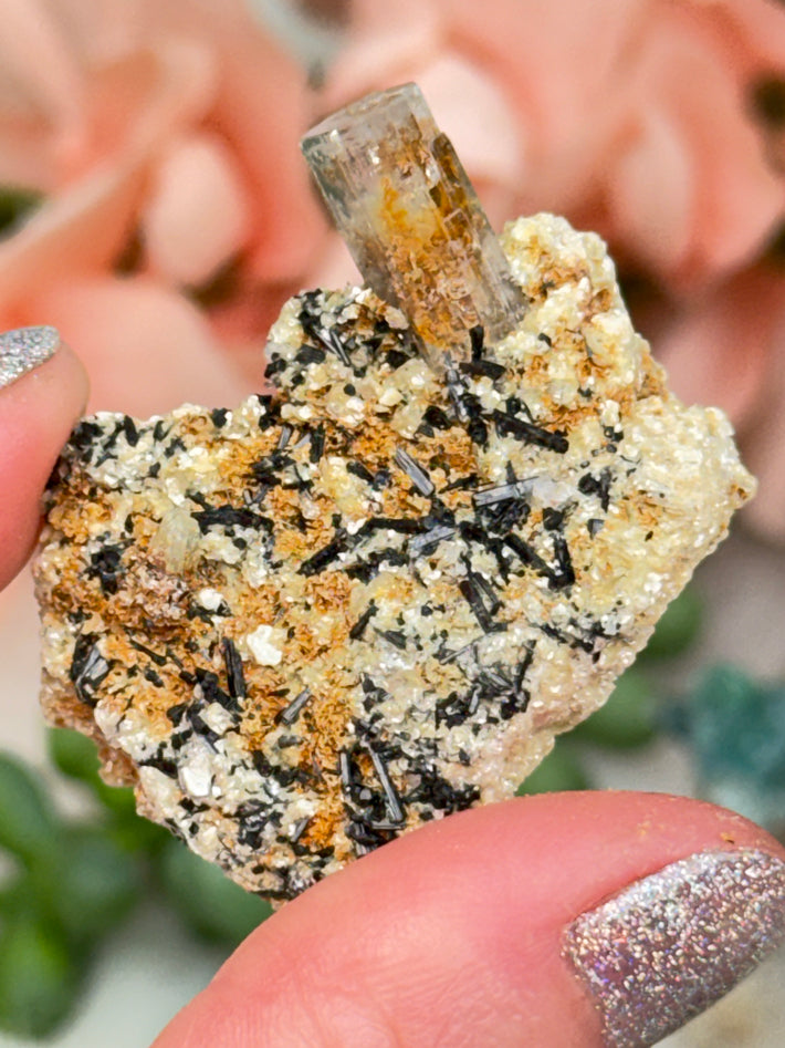 Mixed Small Namibia Specimens