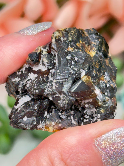 Mixed Small Namibia Specimens