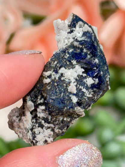 Mixed Small Namibia Specimens