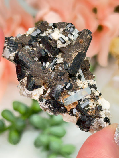 Mixed Small Namibia Specimens