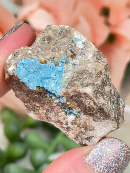 Mixed Small Namibia Specimens