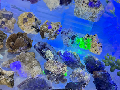 Small Unique Fluorite Specimens