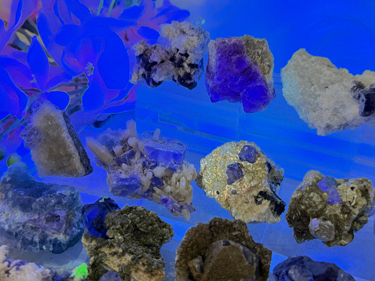 Small Unique Fluorite Specimens