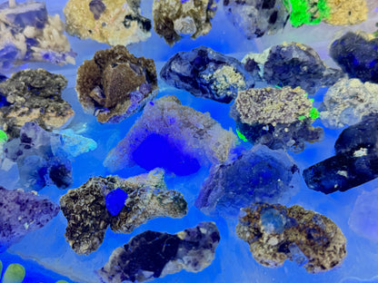 Small Unique Fluorite Specimens