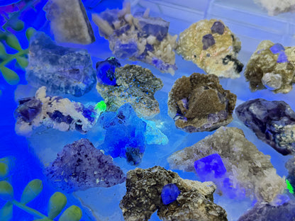 Small Unique Fluorite Specimens