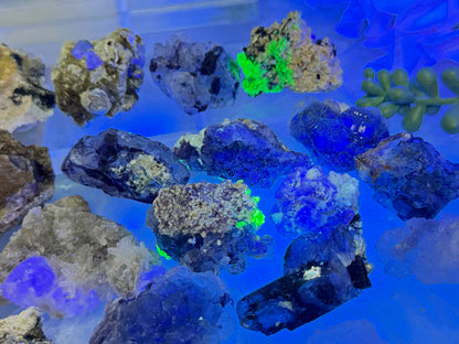 Small Unique Fluorite Specimens
