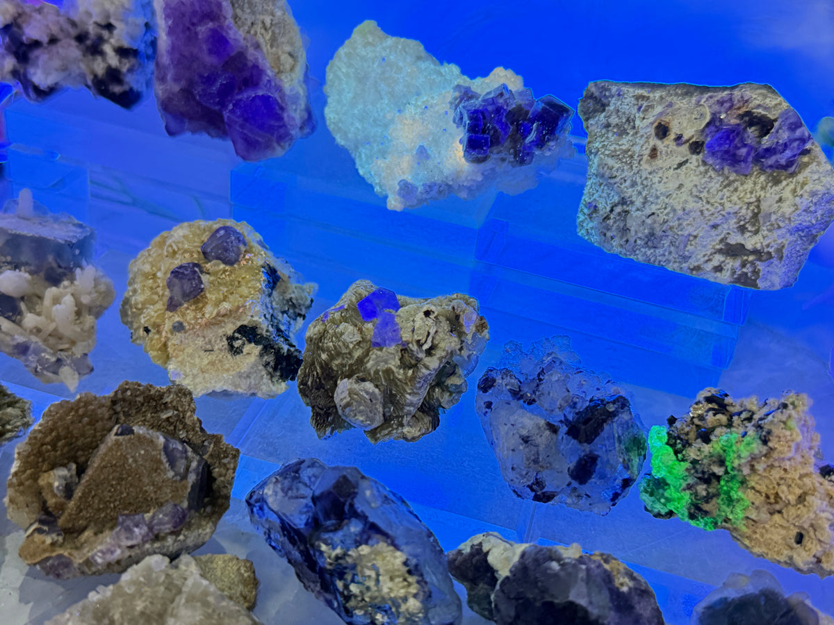 Small Unique Fluorite Specimens