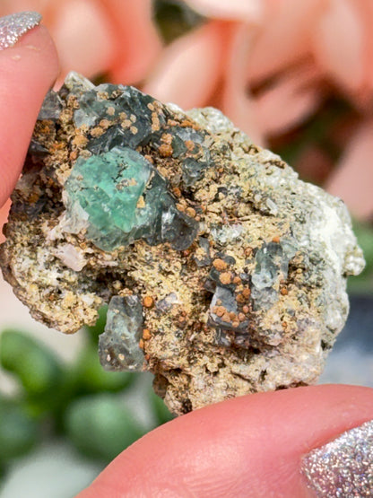 Small Unique Fluorite Specimens