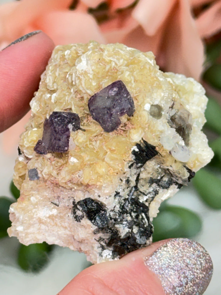 Small Unique Fluorite Specimens