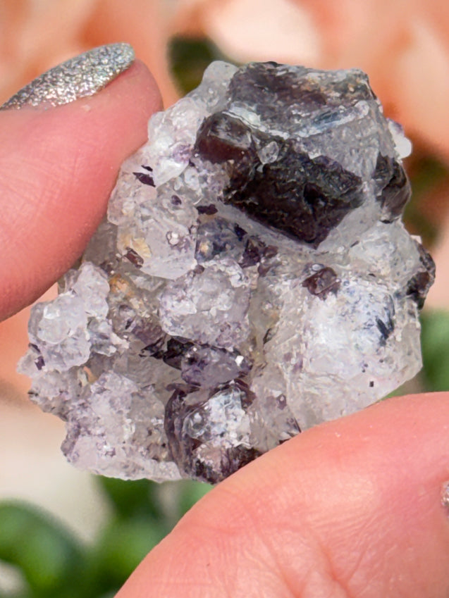 Small Unique Fluorite Specimens
