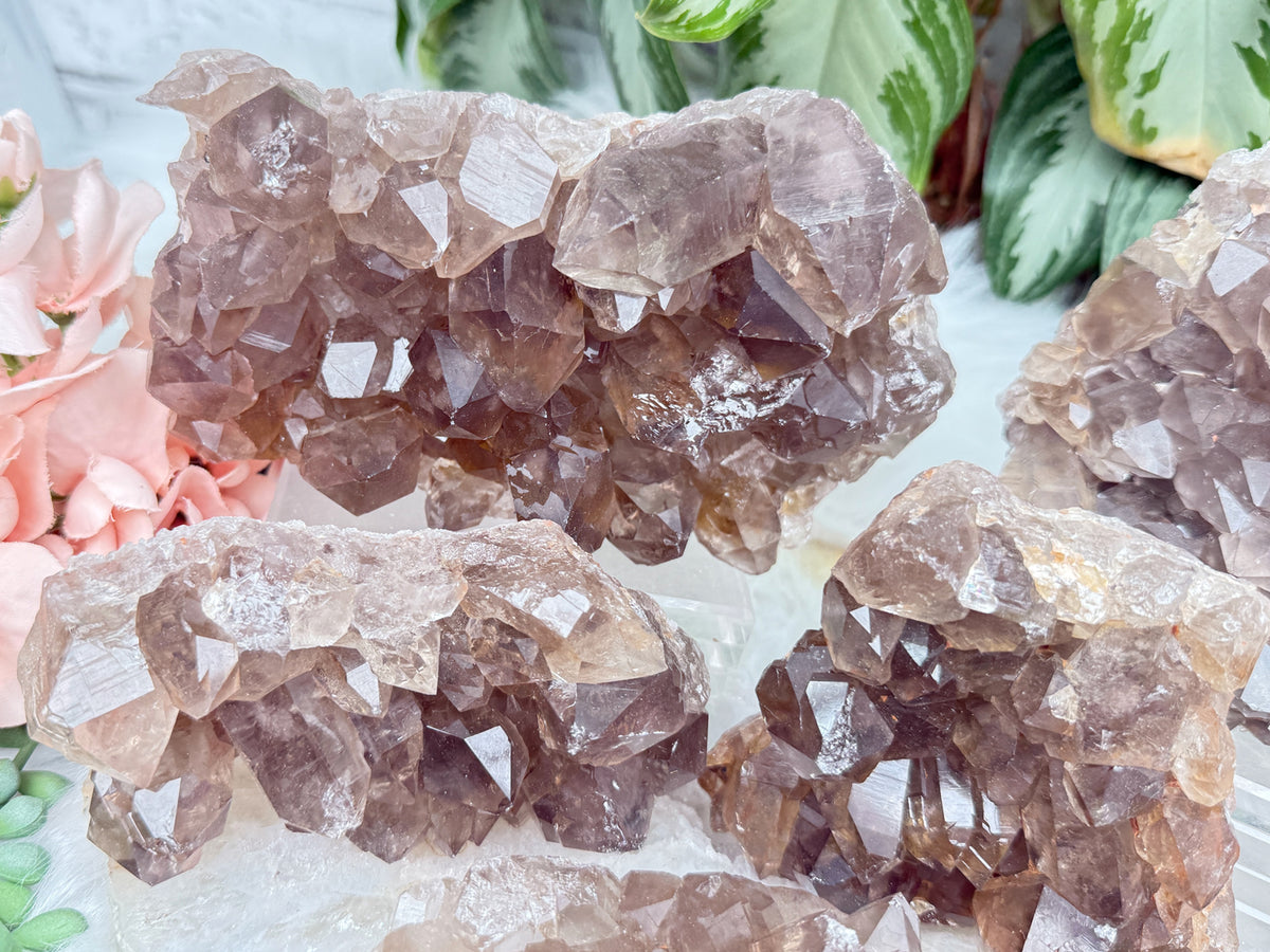 Smoky Quartz Clusters