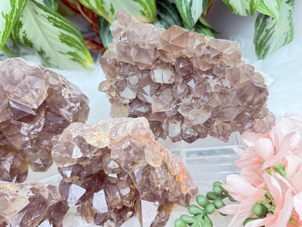 Smoky Quartz Clusters