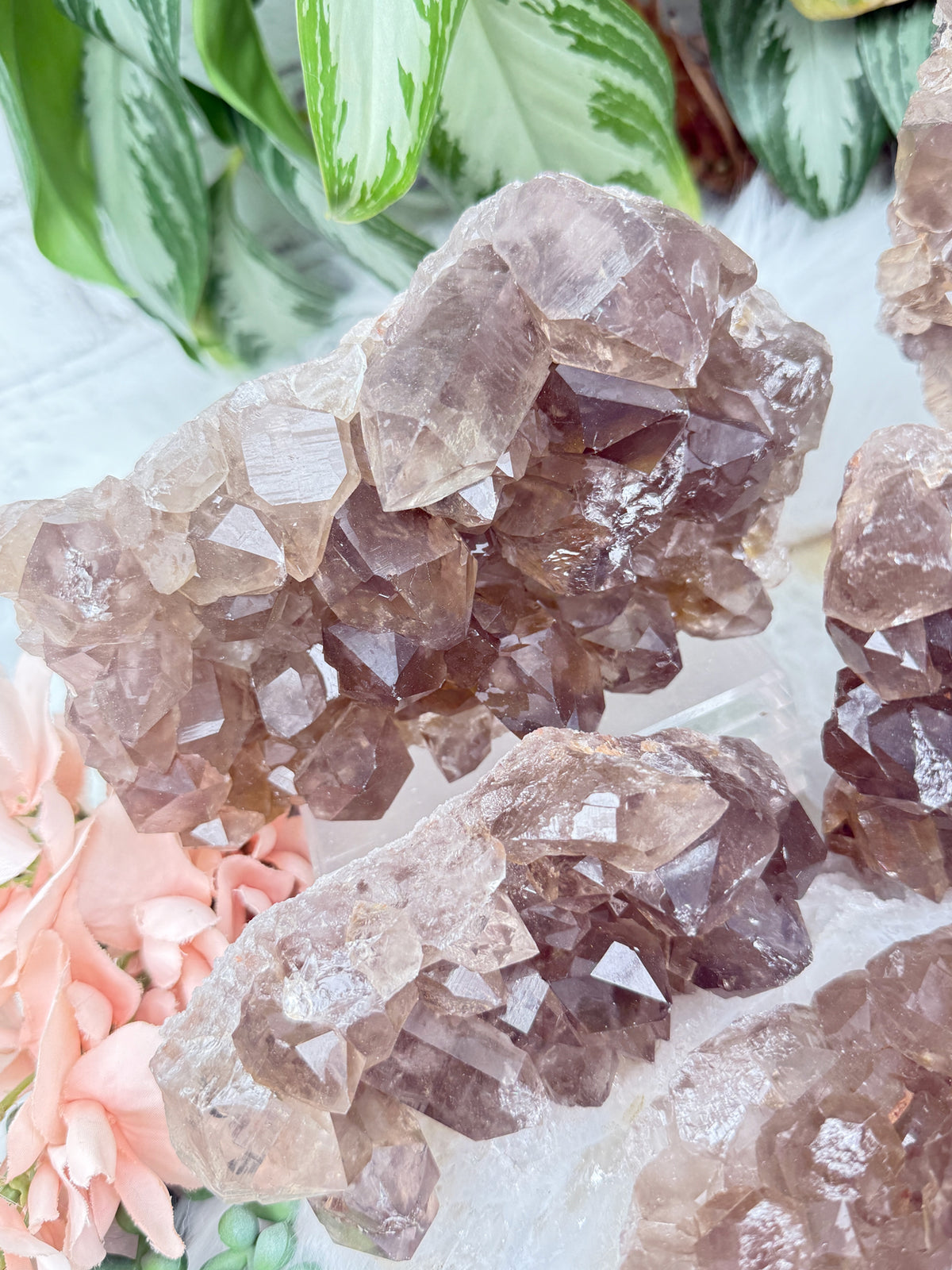 Smoky Quartz Clusters