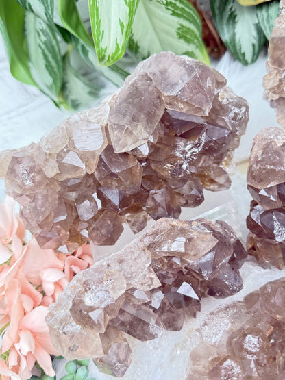 Smoky Quartz Clusters