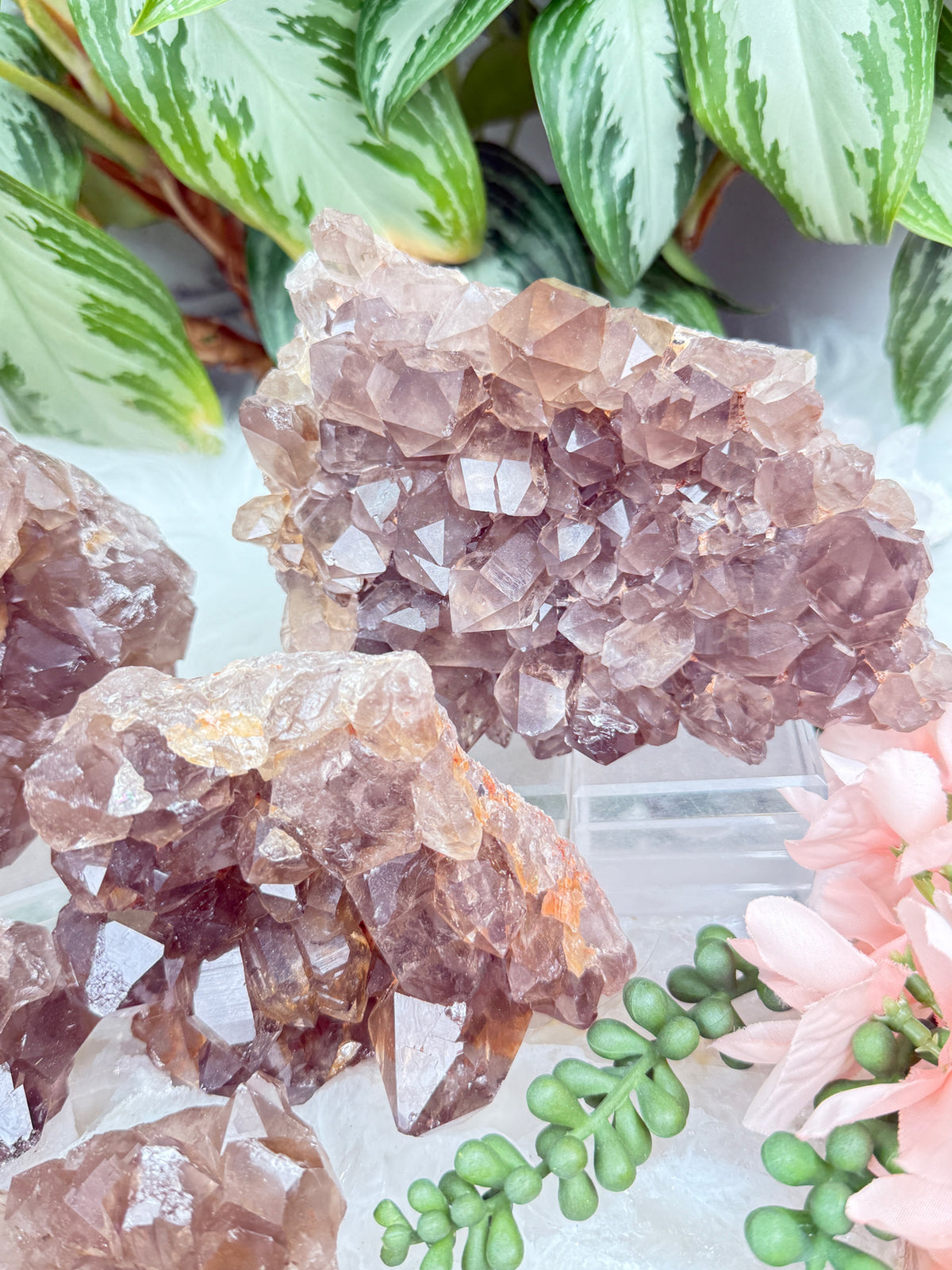 Smoky Quartz Clusters