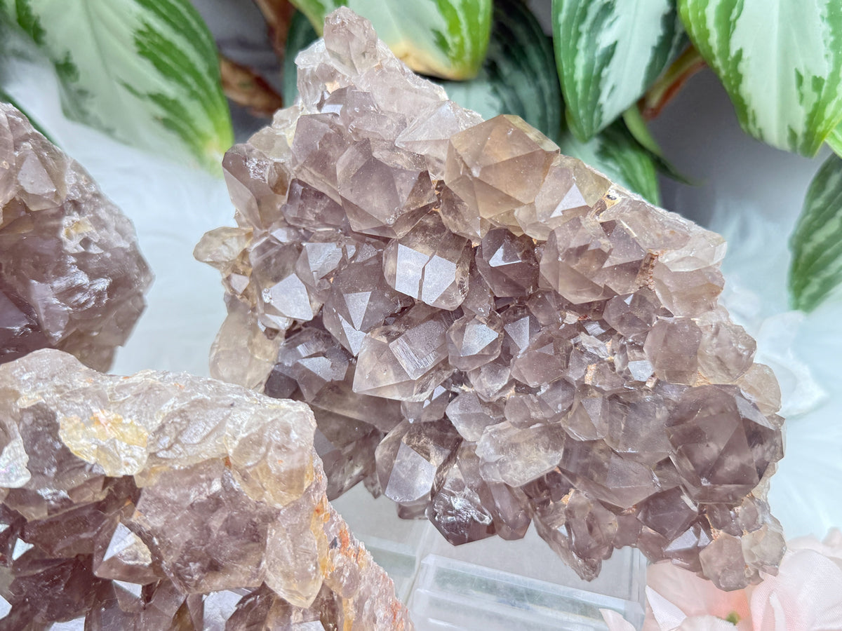 Smoky Quartz Clusters