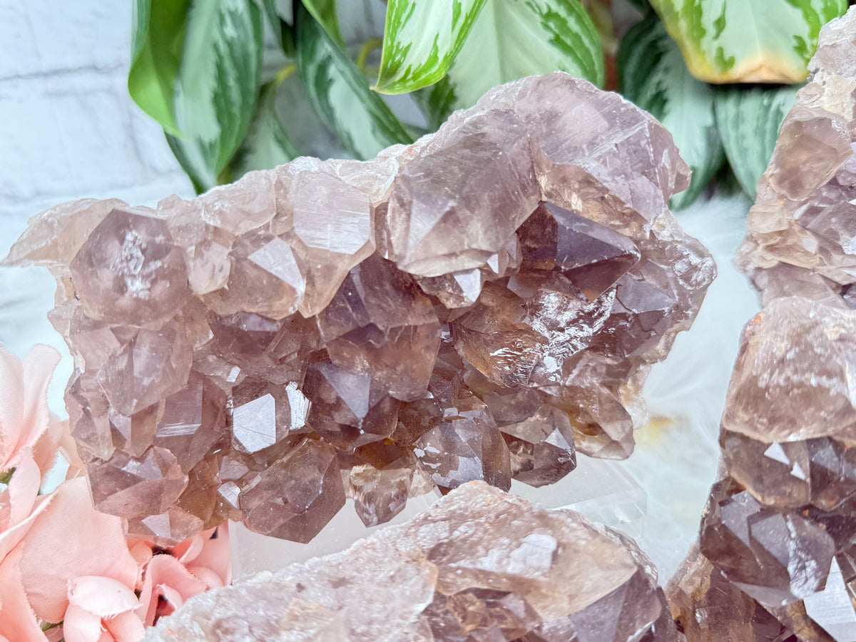 Smoky Quartz Clusters